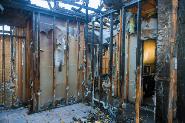 Professional Fire Damage Removal technician working in Washington, DC
