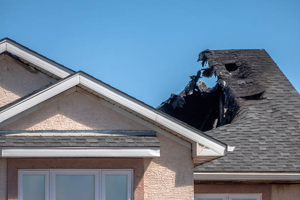 Top rated local Fire Damage Removal specialists in Washington, DC